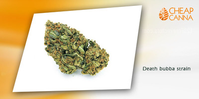 Death Bubba – Indica Strain for Relaxation