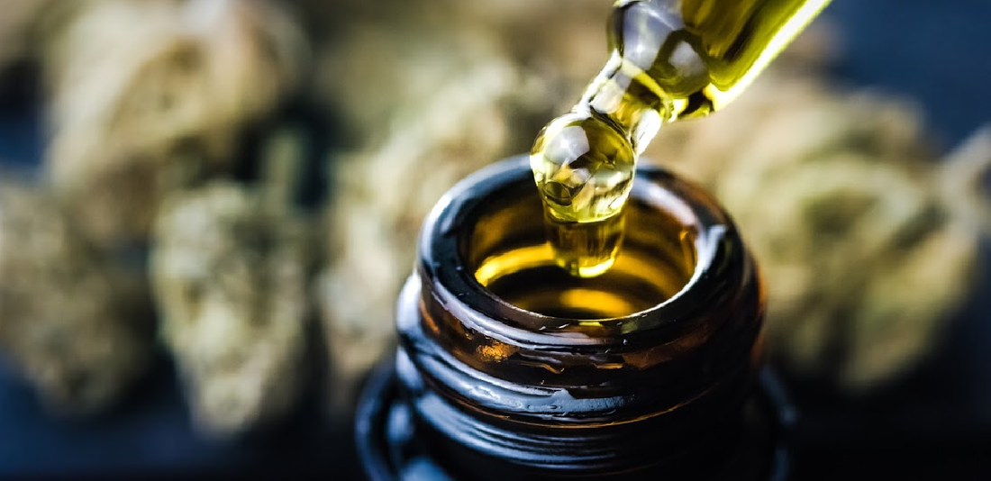 What is a Cannabis Tincture? Plus Explore Benefits of THC Tinctures