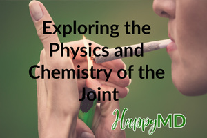 Exploring the Physics and Chemistry of the Joint