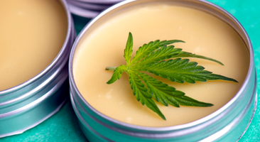 Difference between Topical and Transdermal Medical Marijuana