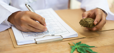How to Get a New York Medical Marijuana Card Online Today