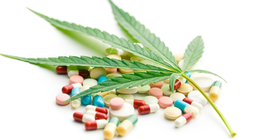 How Does Marijuana Interact With Other Medications?