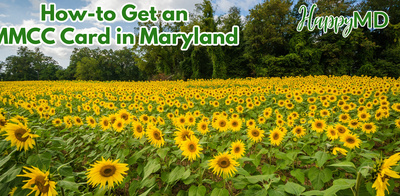 How to Get an MMCC Card in Maryland