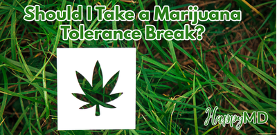 Should I Take a Marijuana Tolerance Break?