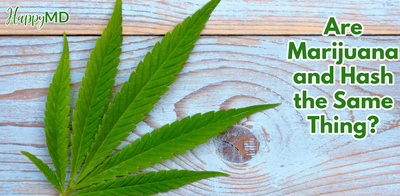 Are Marijuana and Hash the Same Thing?