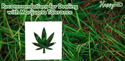 Recommendations for Dealing with Marijuana Tolerance