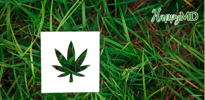 The Ultimate Guide to Recreational Marijuana