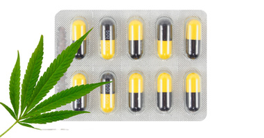 Can You Use Cannabis If You Have Been Prescribed Amoxicillin
