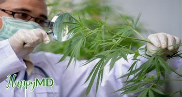 Beyond the Basics: Advanced Tips for Maximizing the Benefits of Medical Marijuana in  Richmond Virginia