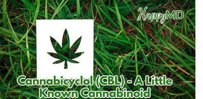 Cannabicyclol (CBL) - A Little Known Cannabinoid