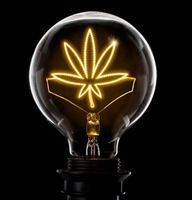 APPLICATION OF NEW TECHNOLOGIES IN A NEW CANNABIS INDUSTRY