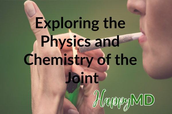 Exploring the Physics and Chemistry of the Joint