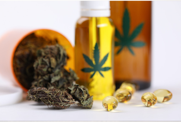 Cannabidiol for Epilepsy- How does it Help?