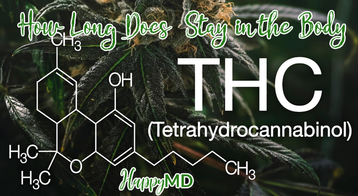 How Long Does THC Stay in the Body?