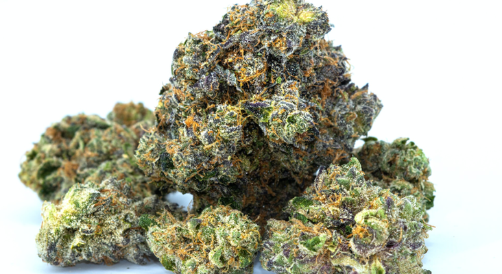 Granddaddy Purple GDP Indica Medical Marijuana Strains