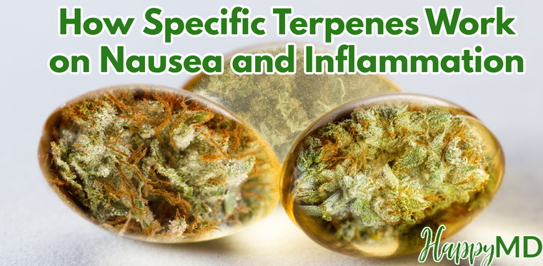 How Specific Terpenes Work on Nausea and Inflammation