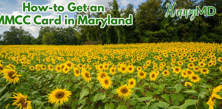 How to Get an MMCC Card in Maryland