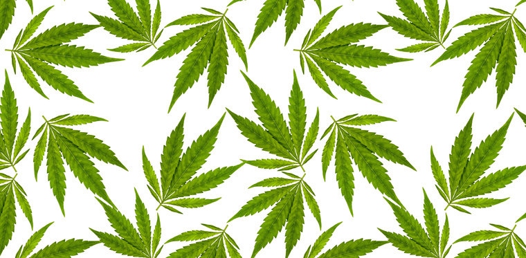 Everything You Need to Understand About Medical Marijuana
