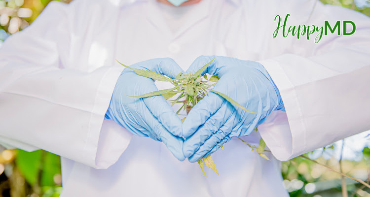 Unlocking the Healing Power: Different Strains of Medical Marijuana in Miramar Florida